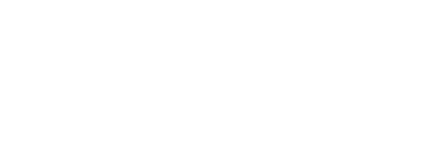 FAKE